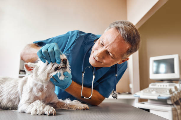 Best Emergency Wisdom Tooth Extraction in Pratt, KS